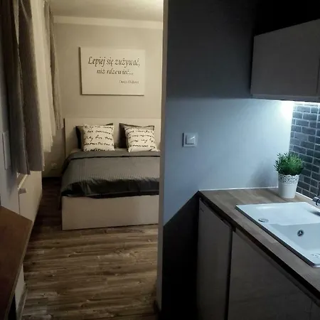 Apartment Grey Centrum *